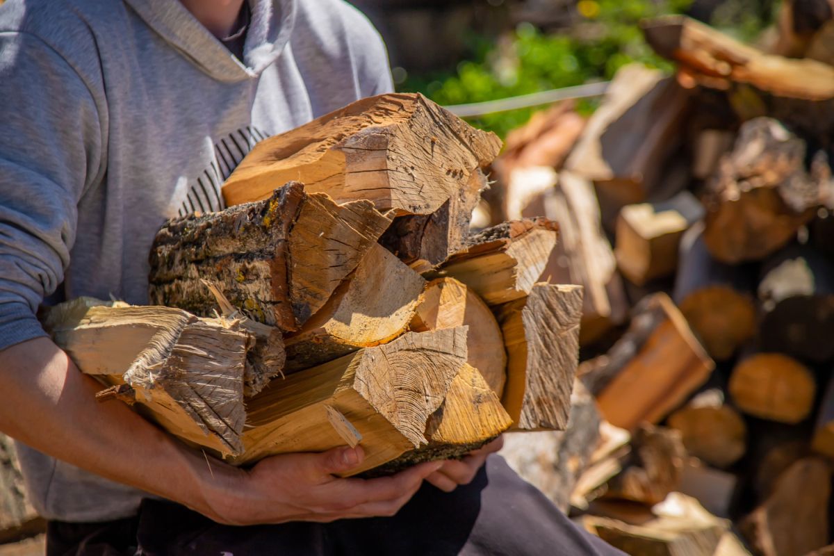 Drewno opałowe Gdynia – jak dbać o komfort cieplny w zimowe dni?